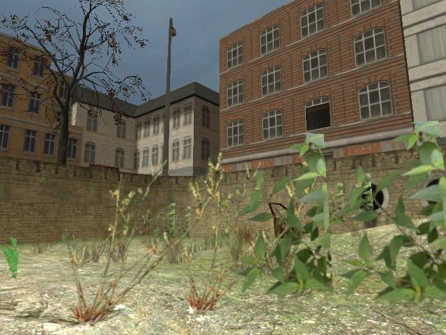 dm_madme_2010 thumb 47