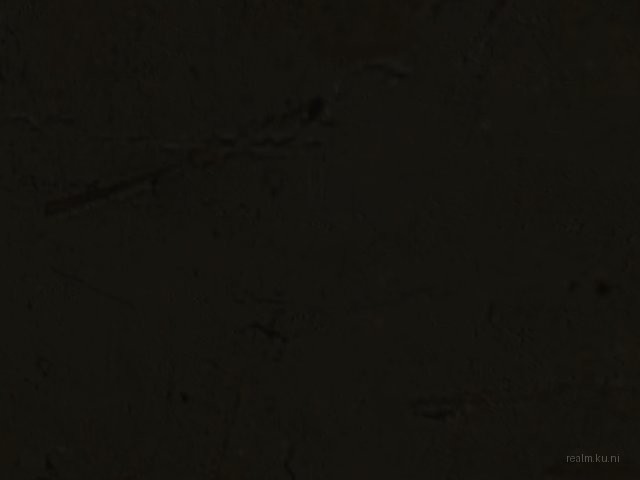 dm_nwodkcol thumb 64