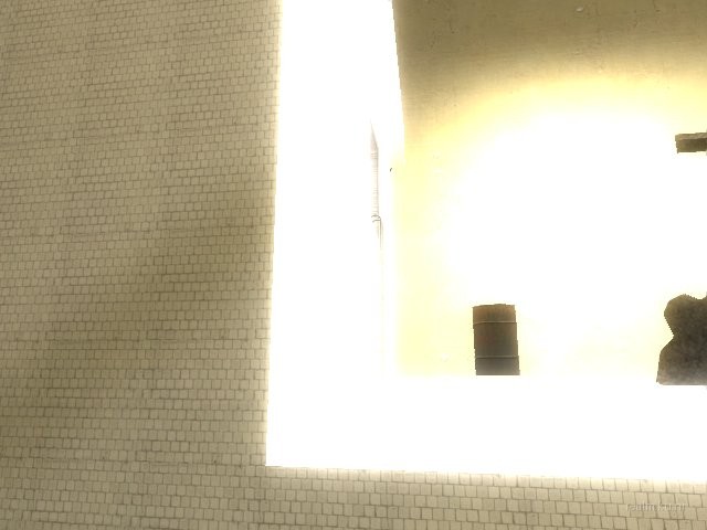 dm_rats_flushed_b7 thumb 80