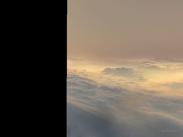 dm_wardon thumb 11