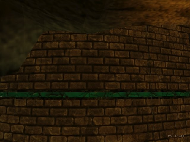 dm_coverup_r1 thumb 7