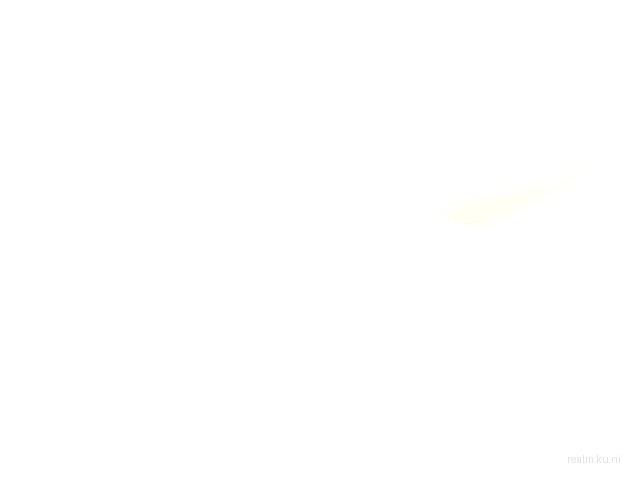 dm_phlebum_final thumb 55