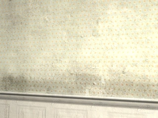 dm_1337_street thumb 39