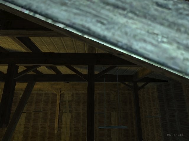 dm_bloom_b4 thumb 7