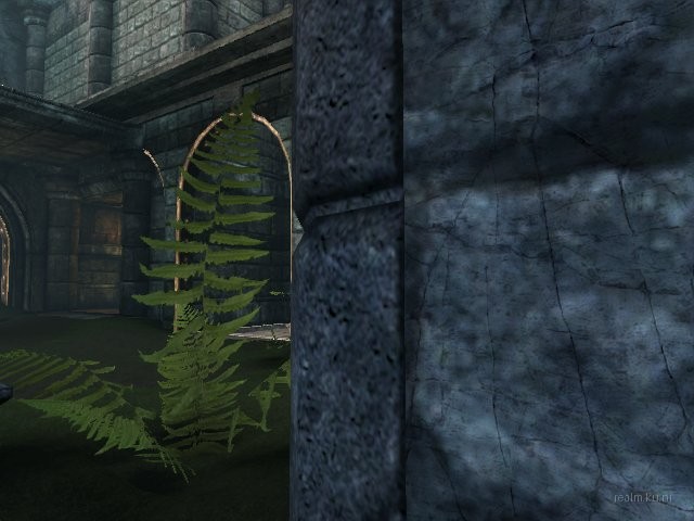 dm_albatross thumb 8