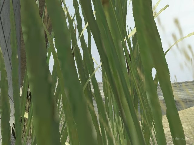arenaplex_v2 thumb 39