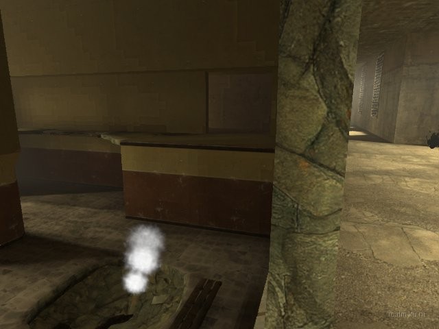 dm_asylum_rc3 thumb 21