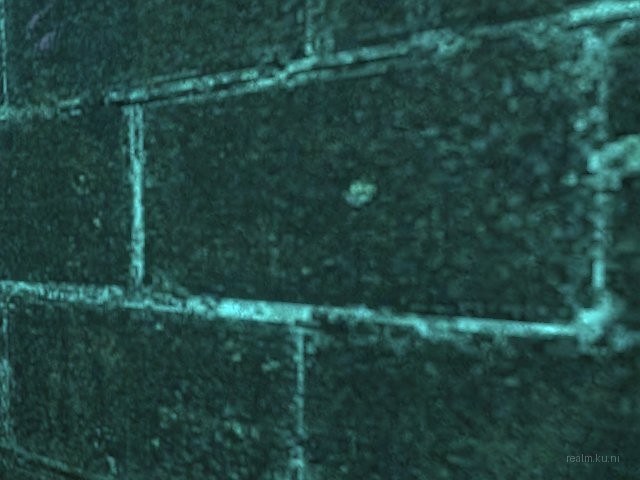 dm_decoy_cu thumb 10