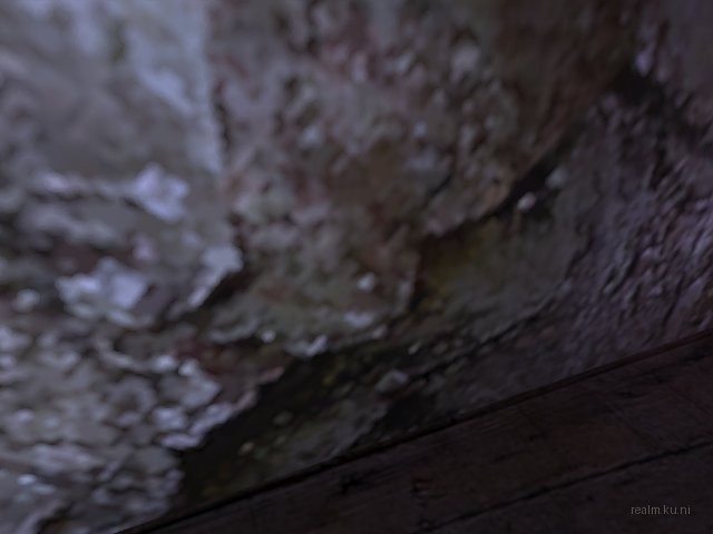dm_911_cell_rats_b1 thumb 10