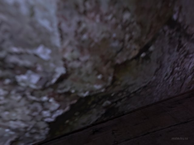 dm_911_cell_rats_b1 thumb 10