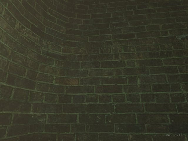 dm_[ss]_shipment thumb 9