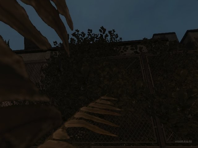 dm_bm_stalkyard_v1y thumb 3
