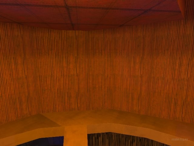 dm_capsule_r3 thumb 14