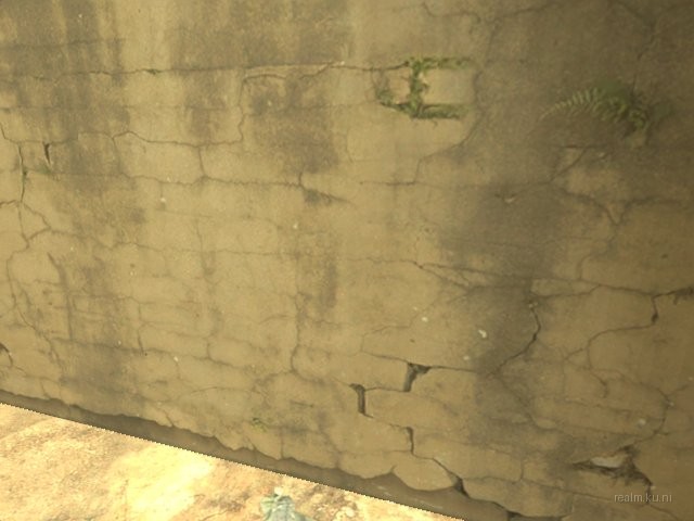 dm_asylum_b8 thumb 16