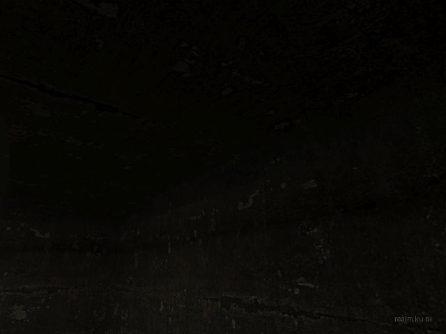 dm_underpass thumb 15