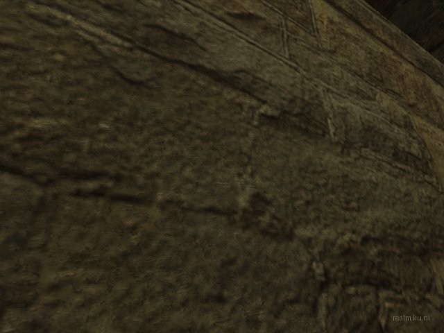 bds_snipe_rock thumb 42