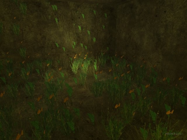 dm_wild_west_jkz_v2 thumb 8
