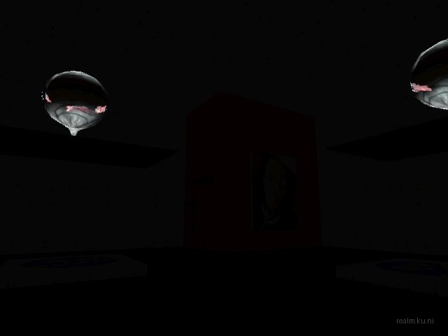 RP_Puzzle_V1 thumb 14