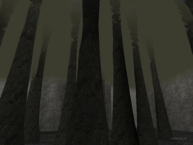 bifurcation_1_hl2mp_ru thumb 69