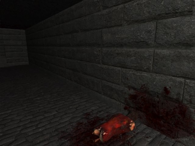 dmt1_medieval thumb 33