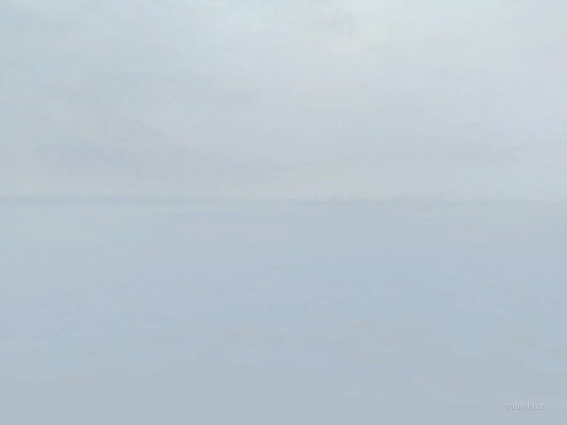 fi_newgappi_g thumb 10