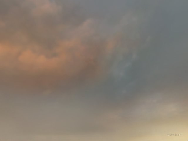 oc_wildfire thumb 16