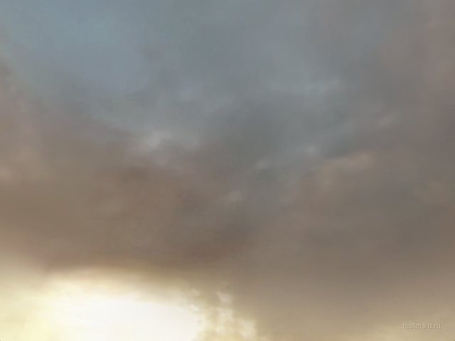 oc_wildfire thumb 7