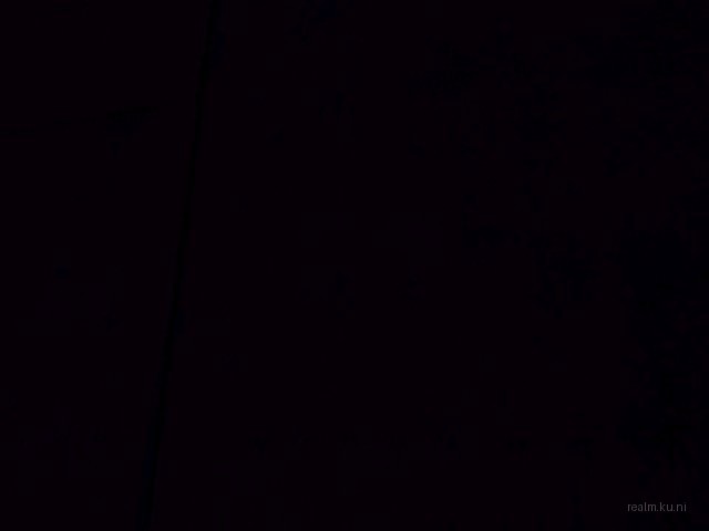 syn_atfp1 thumb 79