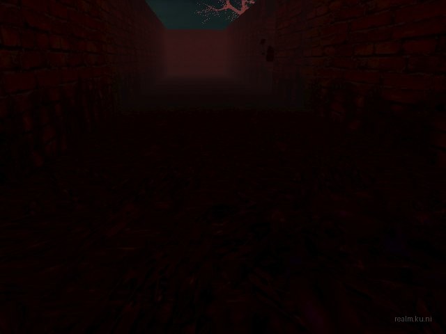 cbe_maze thumb 5