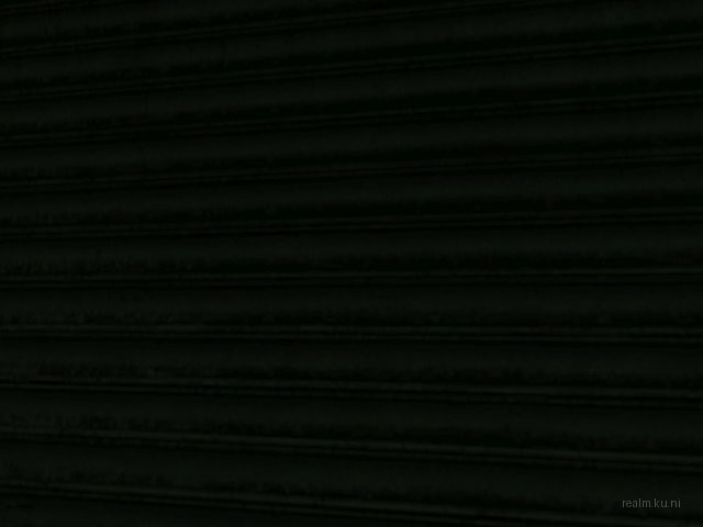 leonHL2-2j thumb 11
