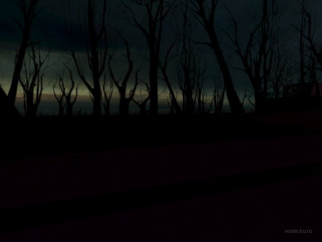 syn_dark_forest_v4 thumb 9