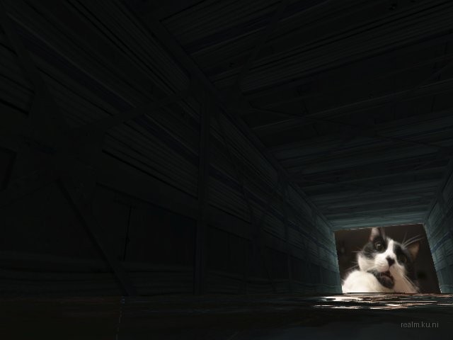 syn_open_windows_v4 thumb 7
