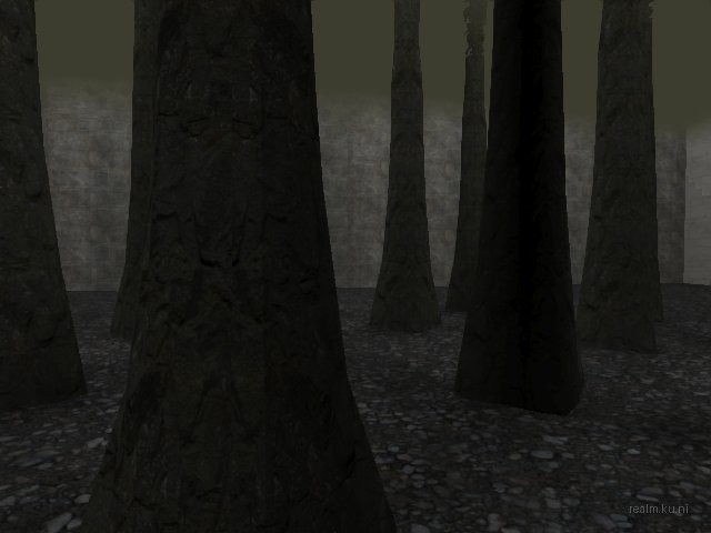 bifurcation_1_hl2mp_ru thumb 17