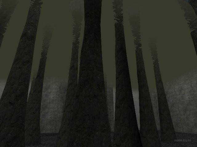 bifurcation_1_hl2mp_ru thumb 69