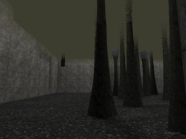 bifurcation_1_hl2mp_ru thumb 13