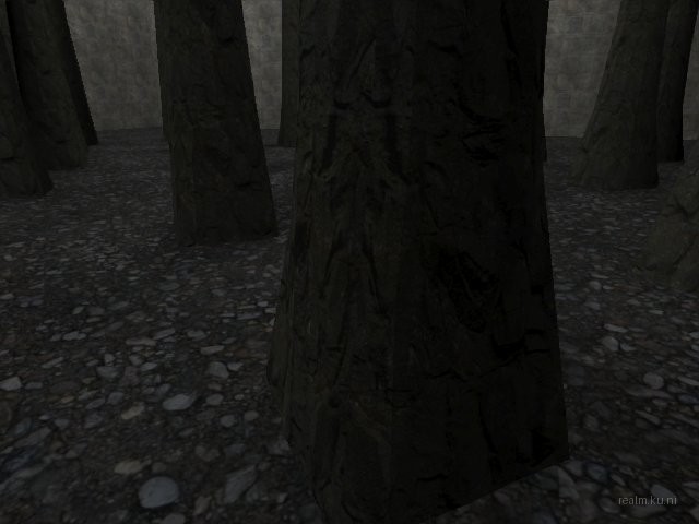 bifurcation_1_hl2mp_ru thumb 38