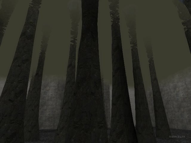 bifurcation_1_hl2mp_ru thumb 39