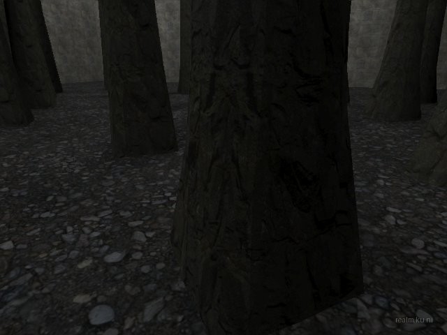 bifurcation_1_hl2mp_ru thumb 38