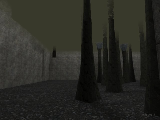 bifurcation_1_hl2mp_ru thumb 13