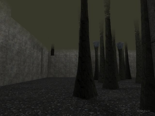 bifurcation_1_hl2mp_ru thumb 13