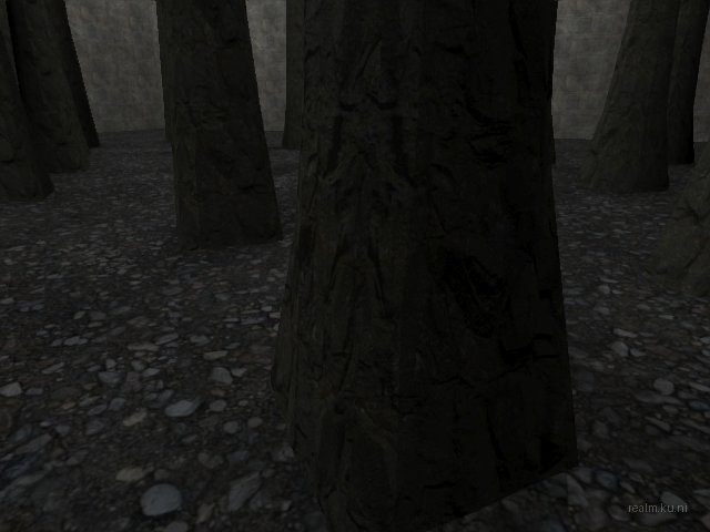 bifurcation_1_hl2mp_ru thumb 38