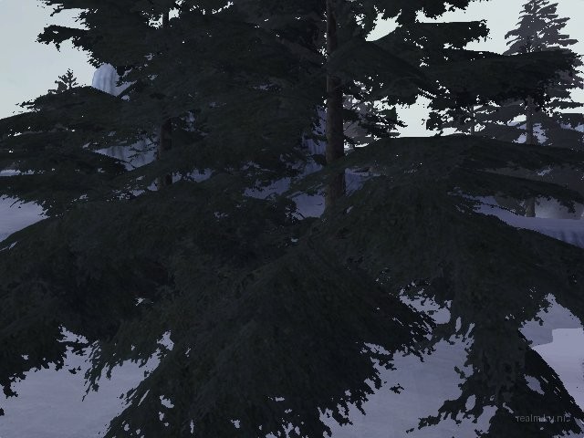 dm_forest_of_pain_snow thumb 18