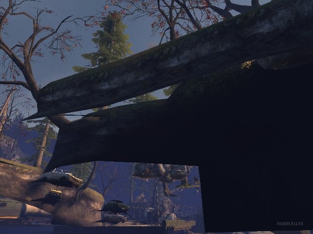 foresttrain thumb 39