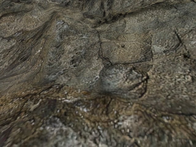 leonHL2-2d thumb 14