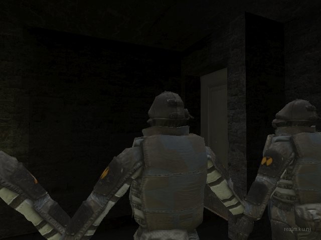 leonHL2-2e for hl2dm screenshot