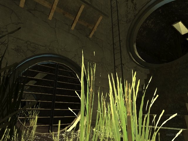dm_veikko thumb 33