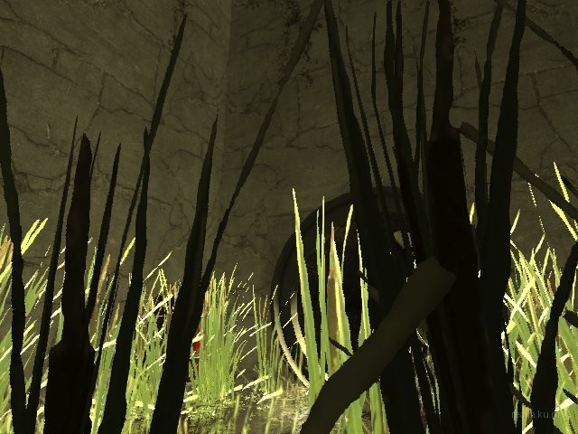 dm_veikko thumb 3