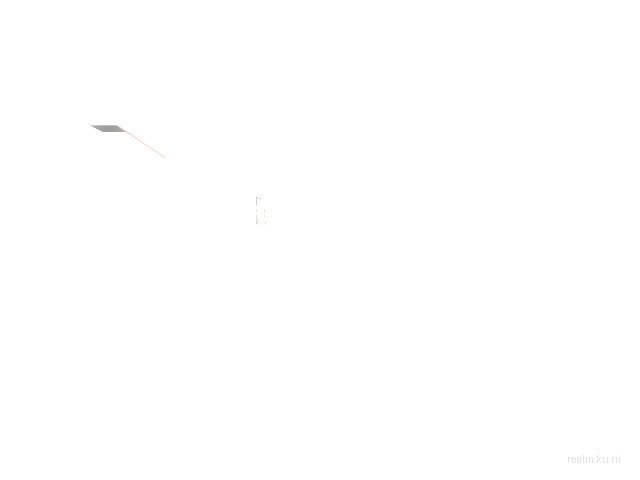 dm_wiseau thumb 3