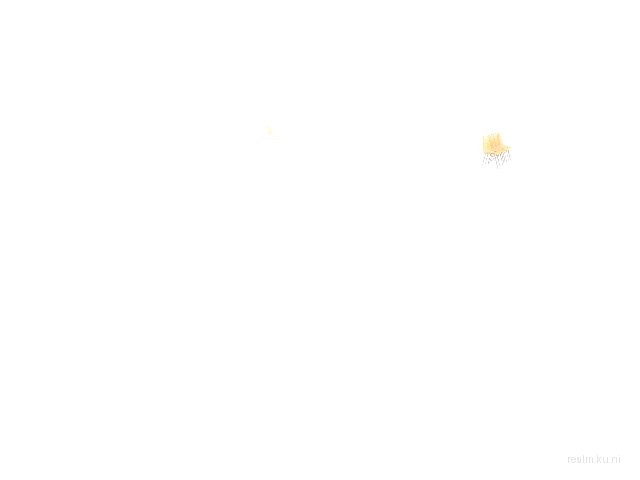dm_wiseau thumb 8