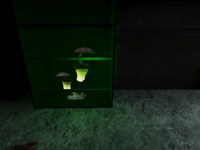 contest_pseudonym_b129 thumb 7